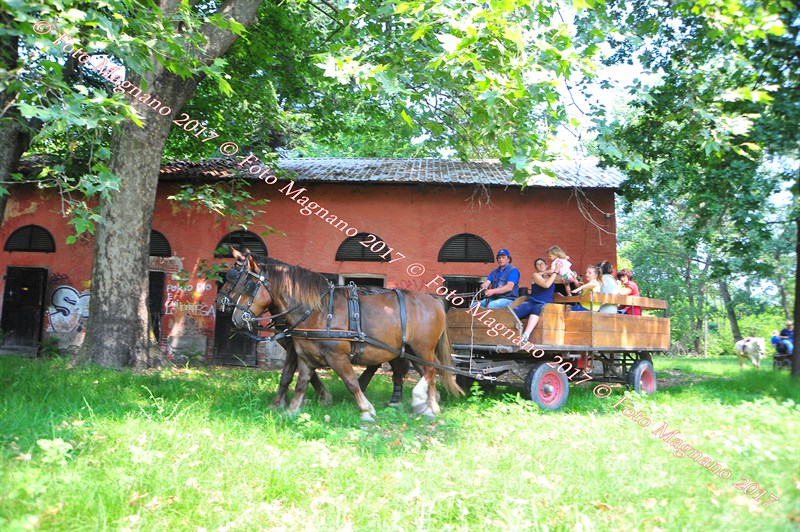 DSC_0963.JPG